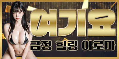금 정 구