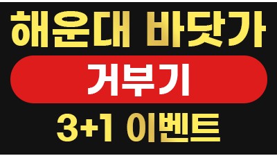 ★해운대거부기 노래방 010 2776 0260