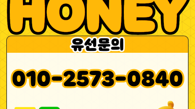 ❤️거제출장❤️통영출장❤️전지역30분내도착❤️전원20대 매니저❤️